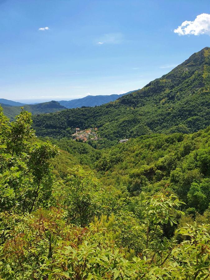 Il Bosco Di Campo Marzano Garden Apartments Borzonasca Luaran gambar