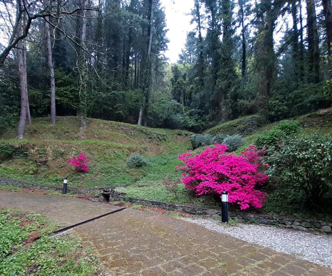 Il Bosco Di Campo Marzano Garden Apartments Borzonasca Luaran gambar