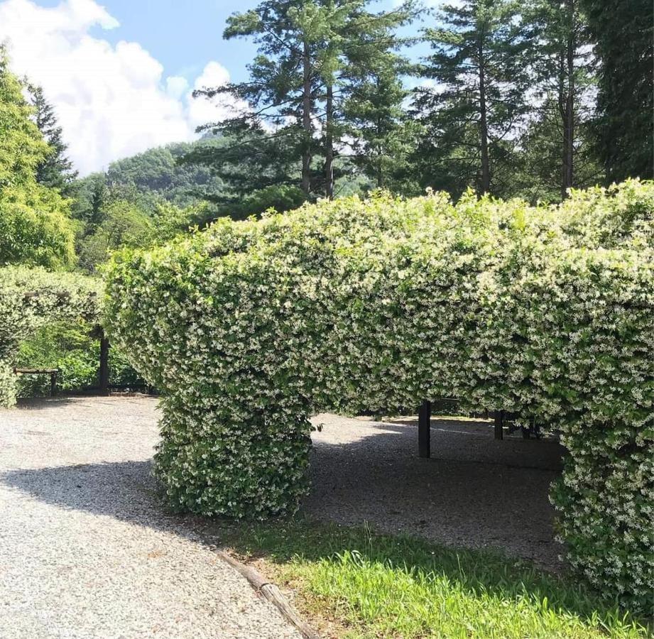 Il Bosco Di Campo Marzano Garden Apartments Borzonasca Luaran gambar