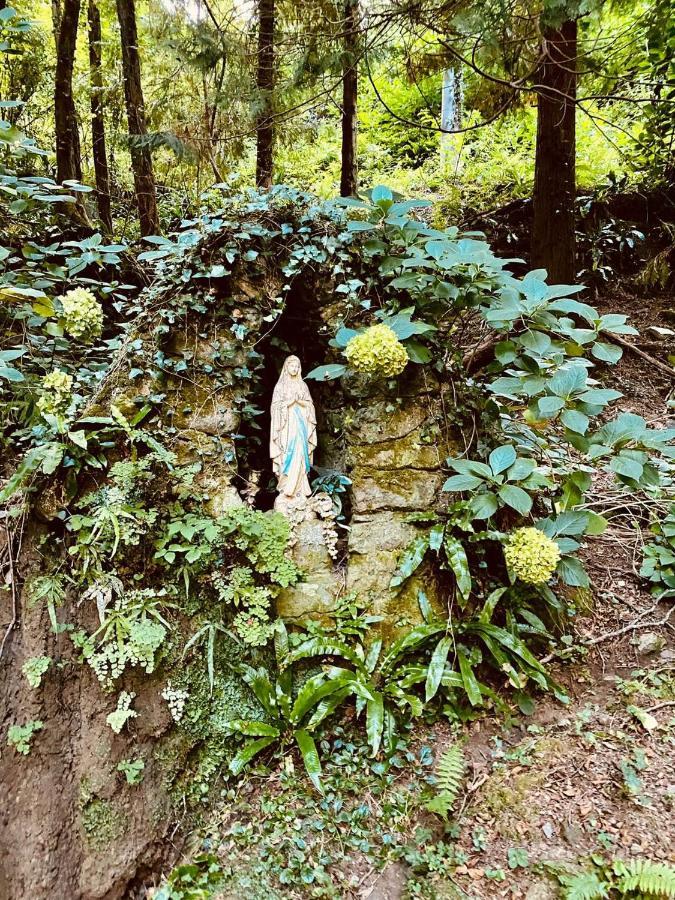 Il Bosco Di Campo Marzano Garden Apartments Borzonasca Luaran gambar