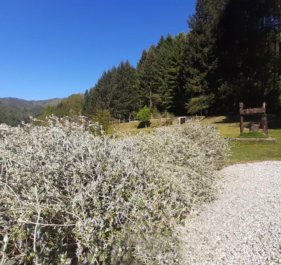 Il Bosco Di Campo Marzano Garden Apartments Borzonasca Luaran gambar