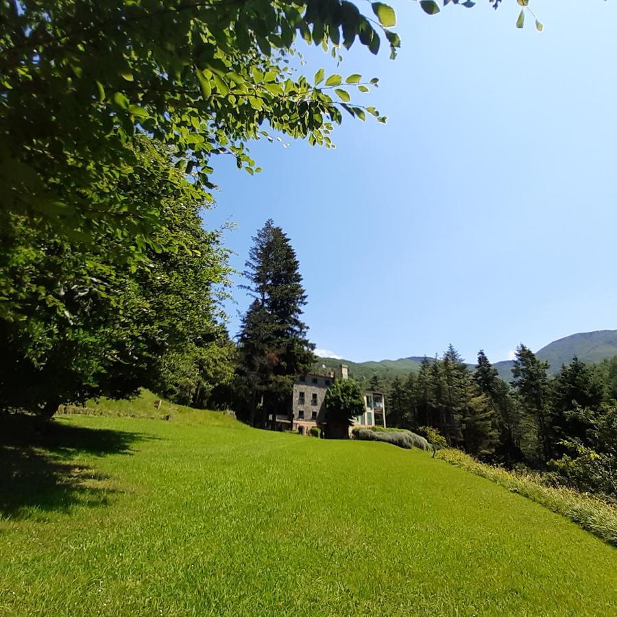 Il Bosco Di Campo Marzano Garden Apartments Borzonasca Luaran gambar