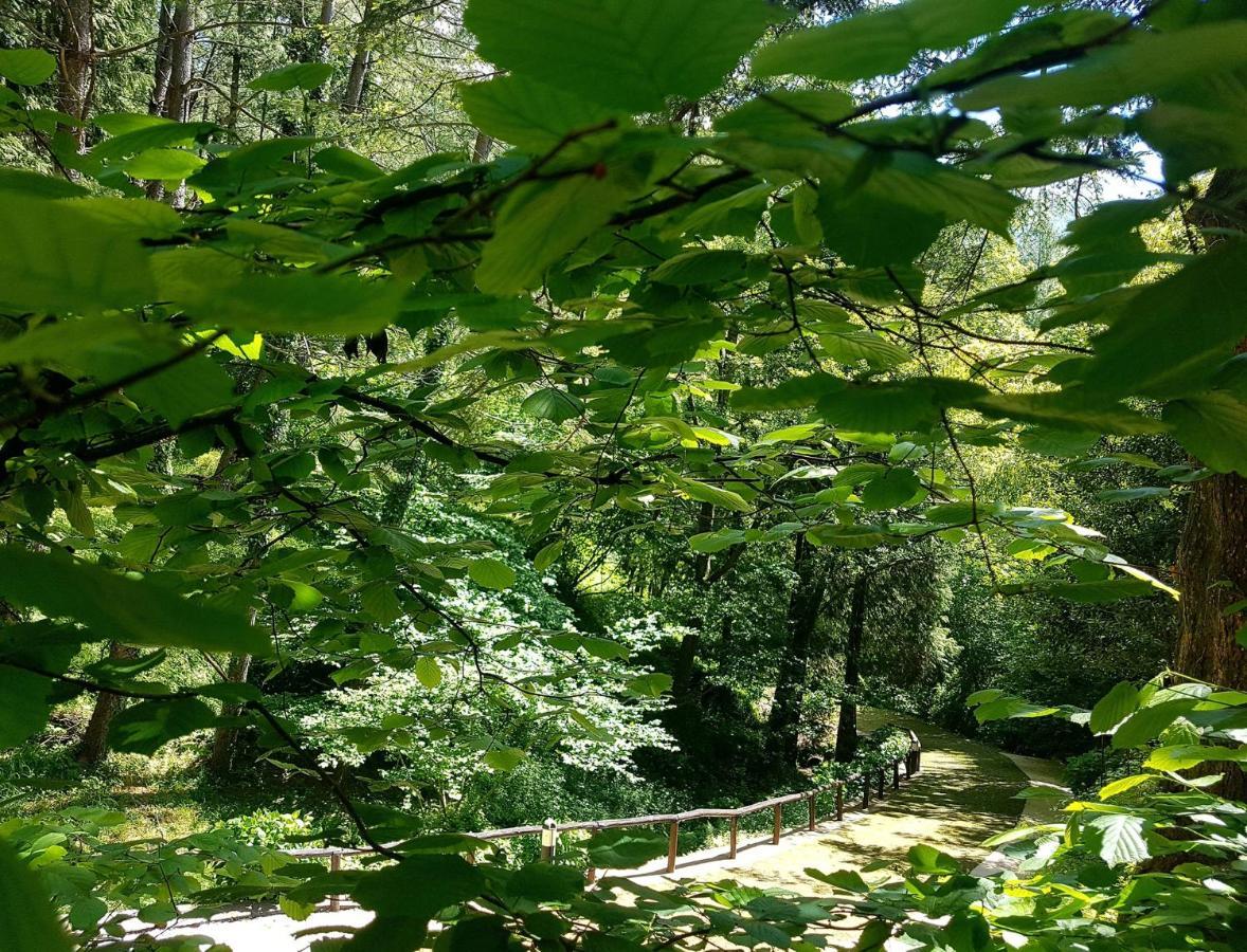 Il Bosco Di Campo Marzano Garden Apartments Borzonasca Luaran gambar