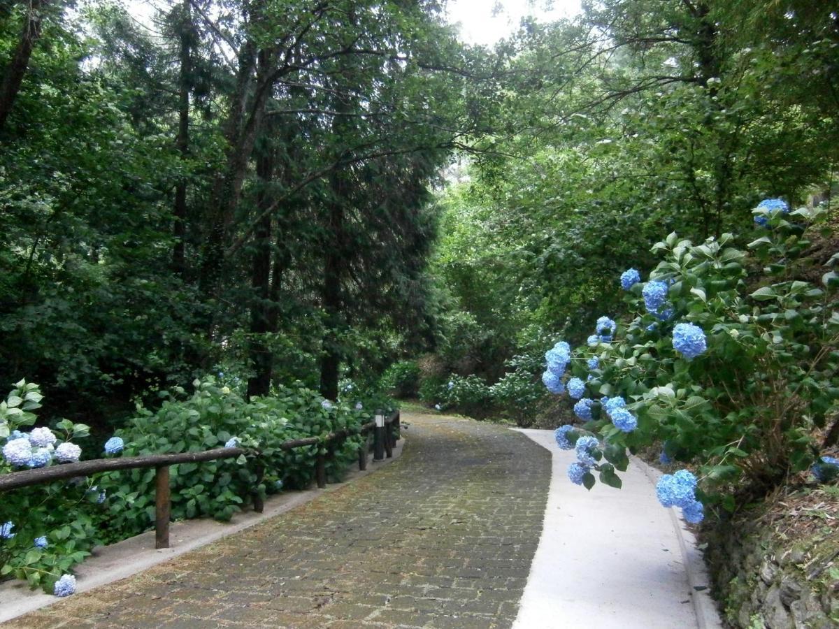 Il Bosco Di Campo Marzano Garden Apartments Borzonasca Luaran gambar